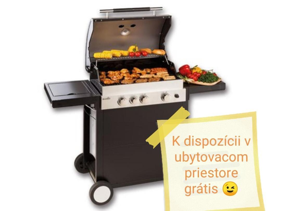 U Bažanta *** - Ubytovanie v súkromí  Vyšné Ružbachy Exterior foto