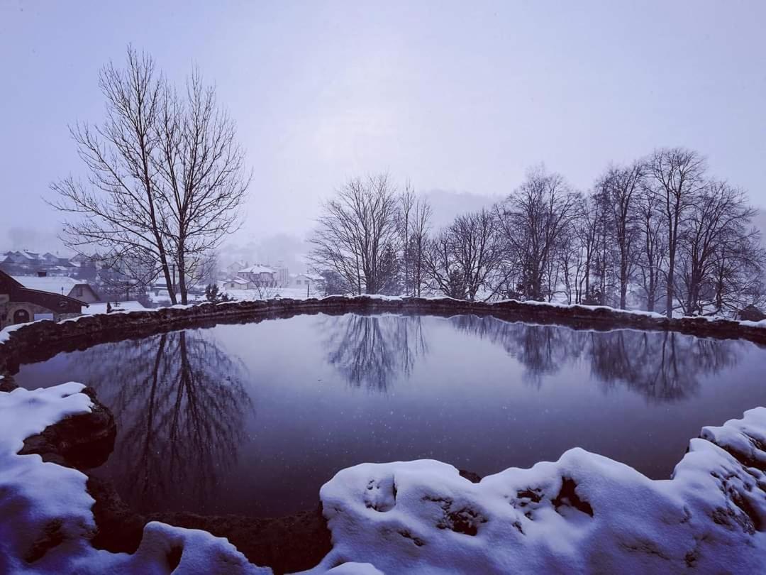 U Bažanta *** - Ubytovanie v súkromí  Vyšné Ružbachy Exterior foto