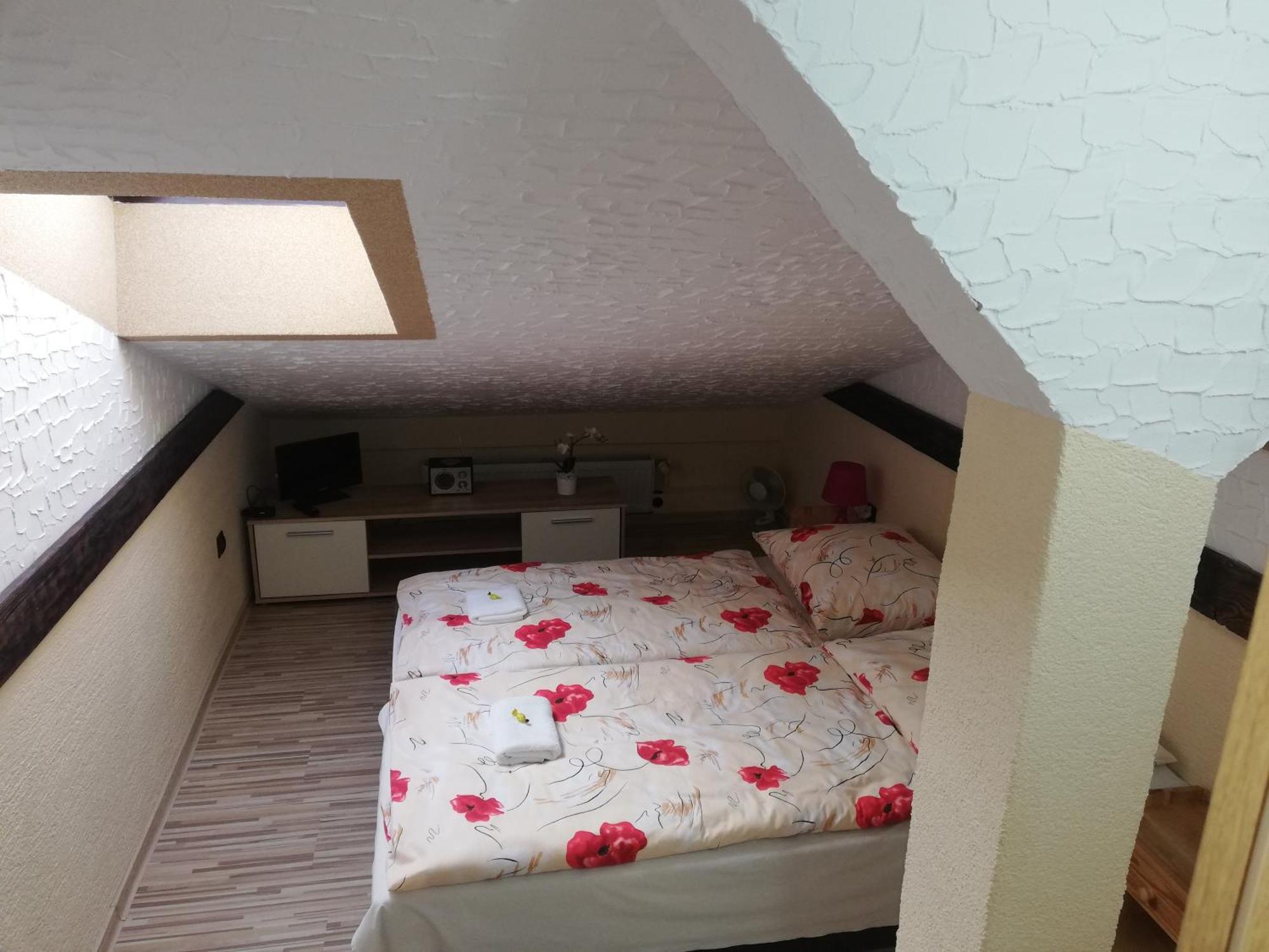 U Bažanta *** - Ubytovanie v súkromí  Vyšné Ružbachy Habitación foto